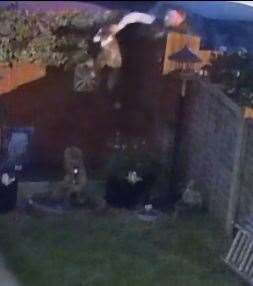 CCTV footage captured the injured lurcher being dumped over a fence. Picture: RSPCA