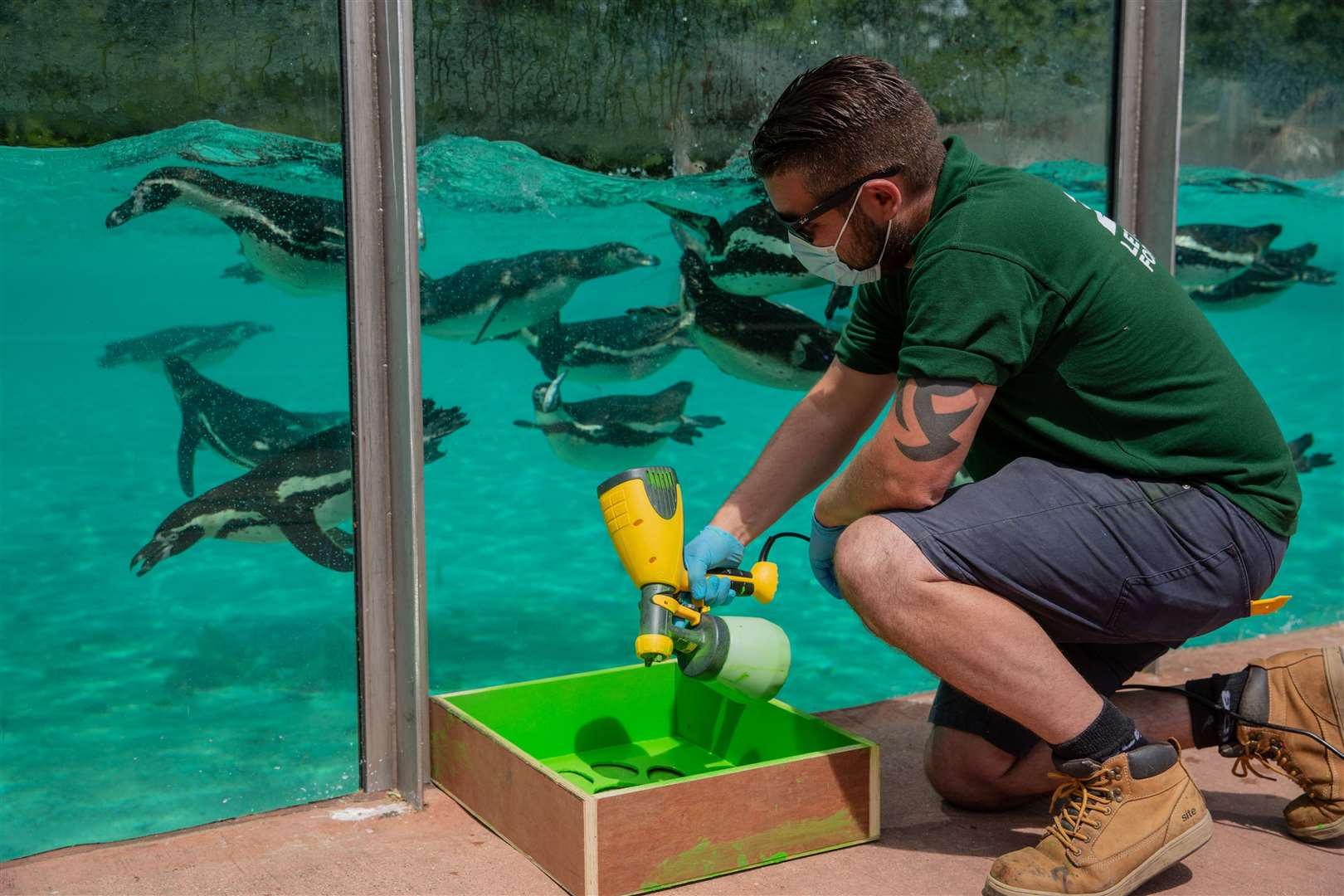 Social-distance markers being laid at ZSL London Zoo (ZSL/PA)