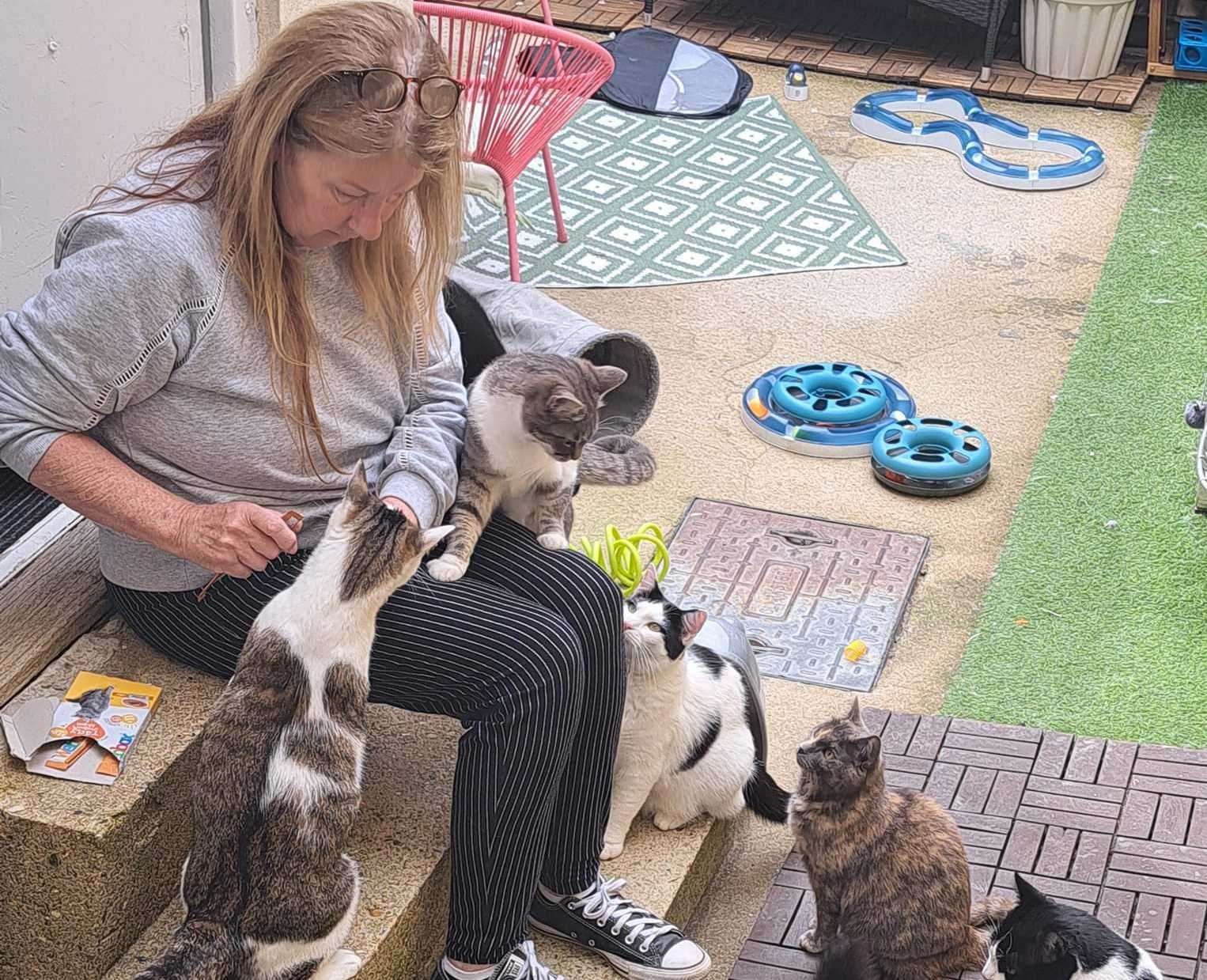 A GoFundMe has been started for Cosy Cat Cafe in Herne Bay. Picture: Christeen Norfolk