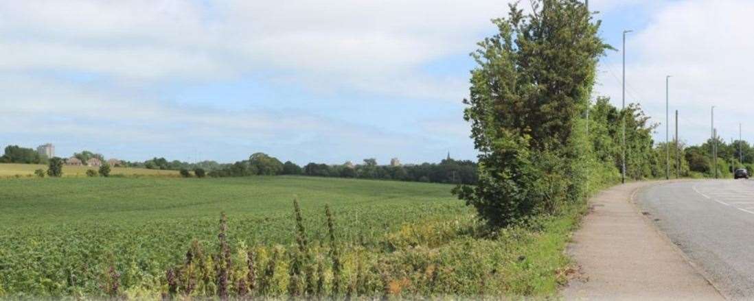 The fields off Shottendane Road which could be developed with 450 new homes. Picture: Picture: Gladmans/CSA Environmental