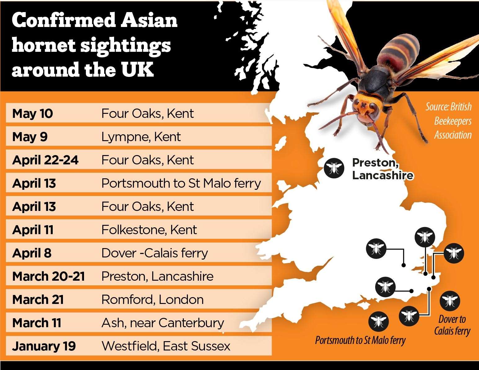 Confirmed Asian hornet sightings since March