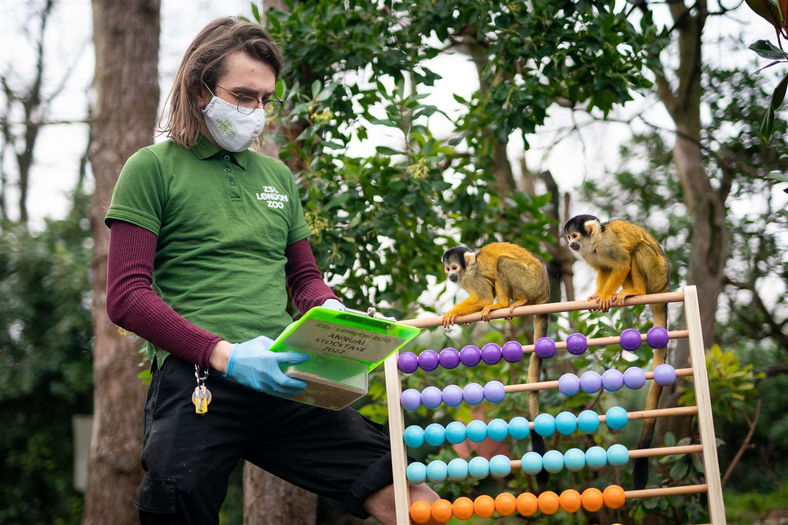 Squirrel monkeys were keen to help the count (Aaron Chown/PA)