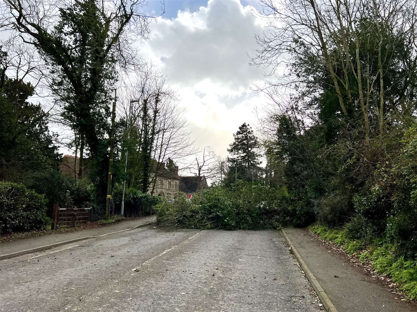 This tree in Staplehurst High Street has since been cleared. Picture Brian Clark