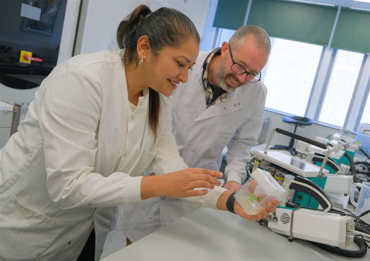 Dr Pallavi Singh and Dr Nick Aldred in the lab as they research whether mistletoe could be used as a surgical glue (University of Essex/ PA)