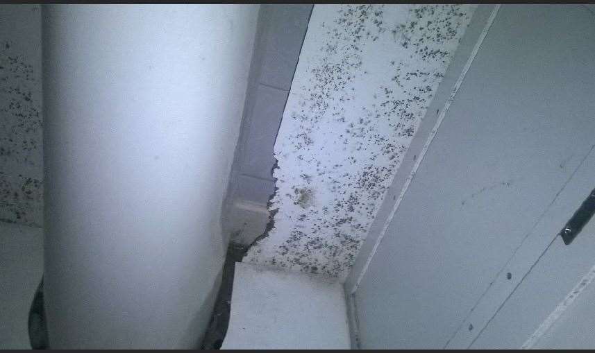Mould found under Laura's sink. Picture: Laura Roebuck