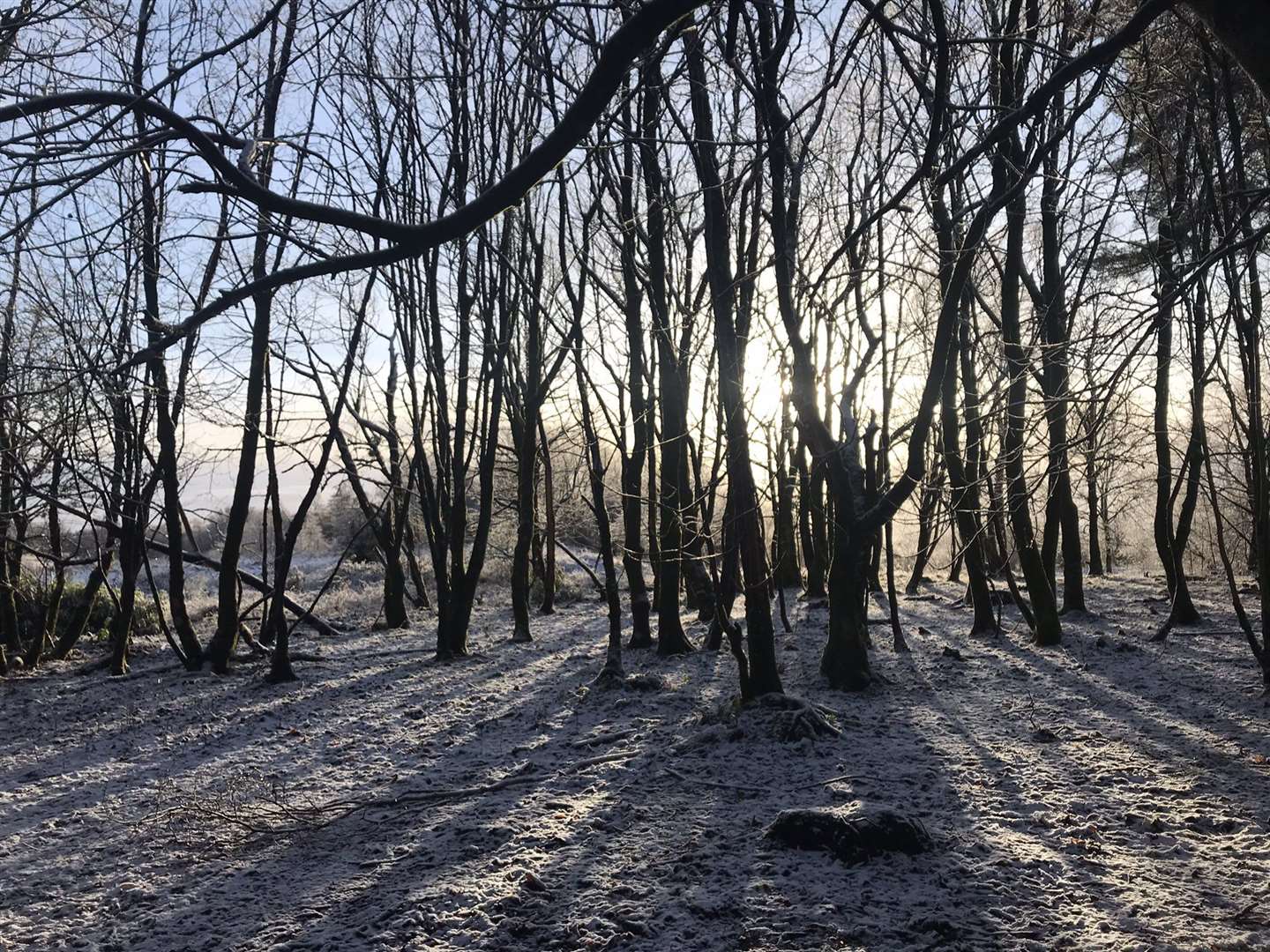 Snow fell at Mugdock Country Park, Glasgow (@BARRA72/Twitter/PA)