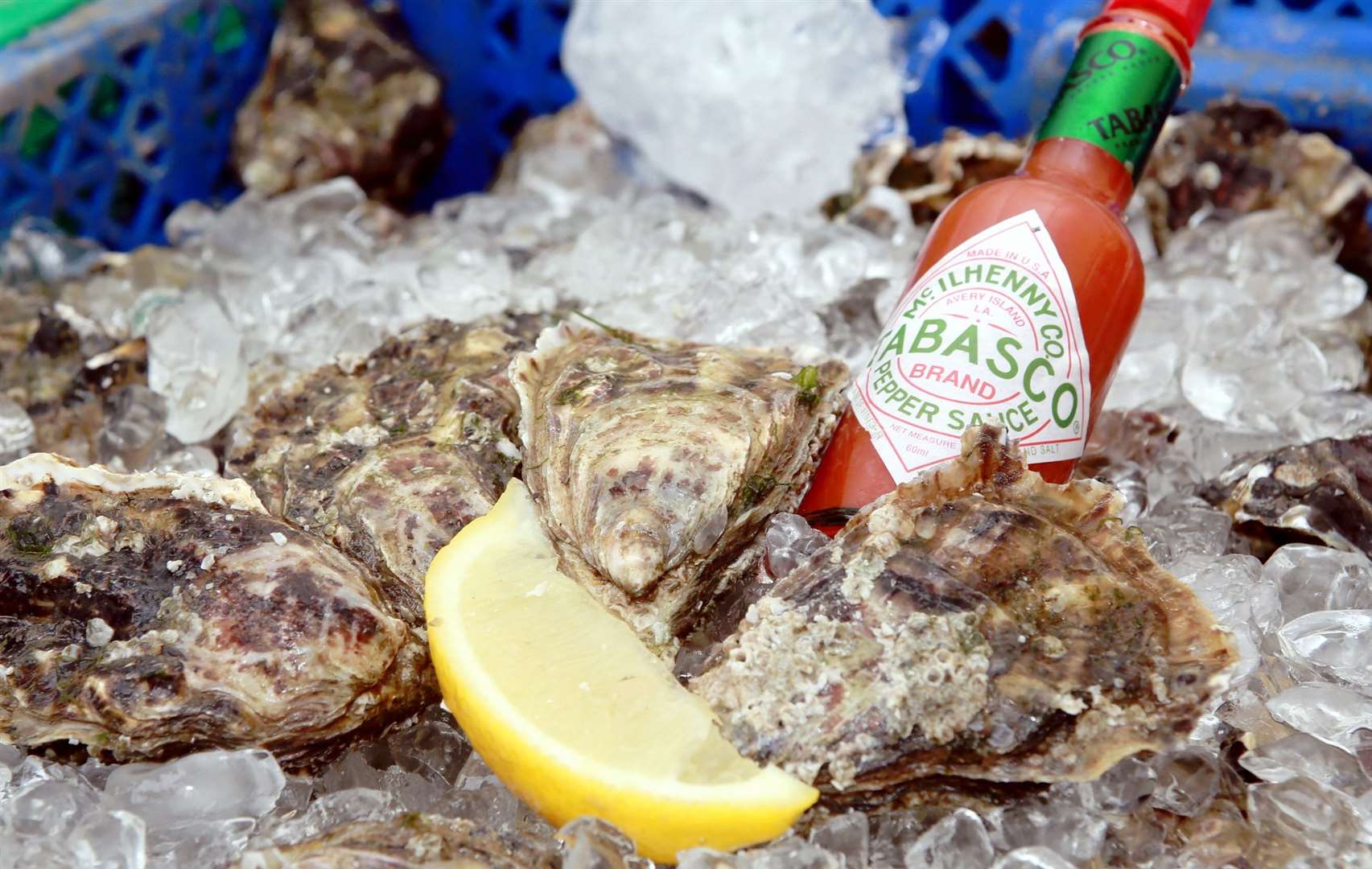 Everything you need to know about Whitstable Rocks Oyster Festival 2024