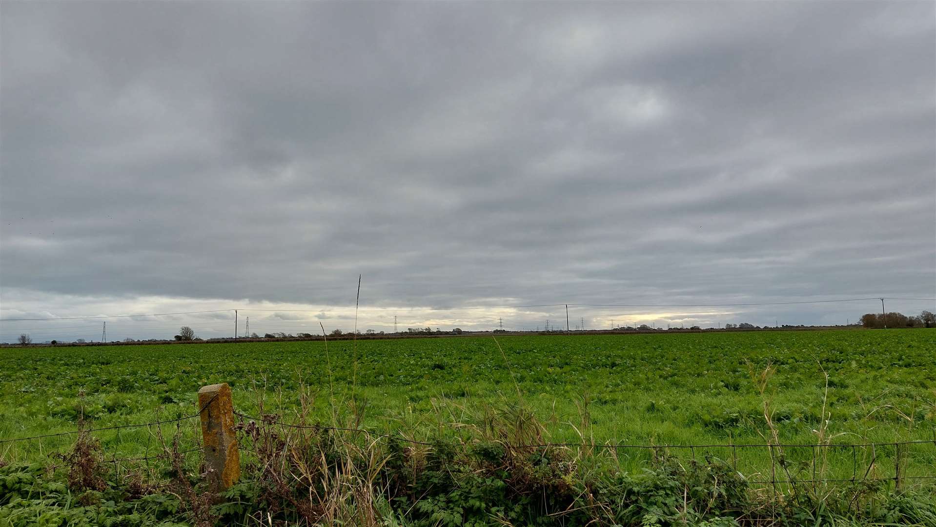 The 500-megawatt (MW) solar farm on Romney Marsh could produce enough electricity for 140,000 properties