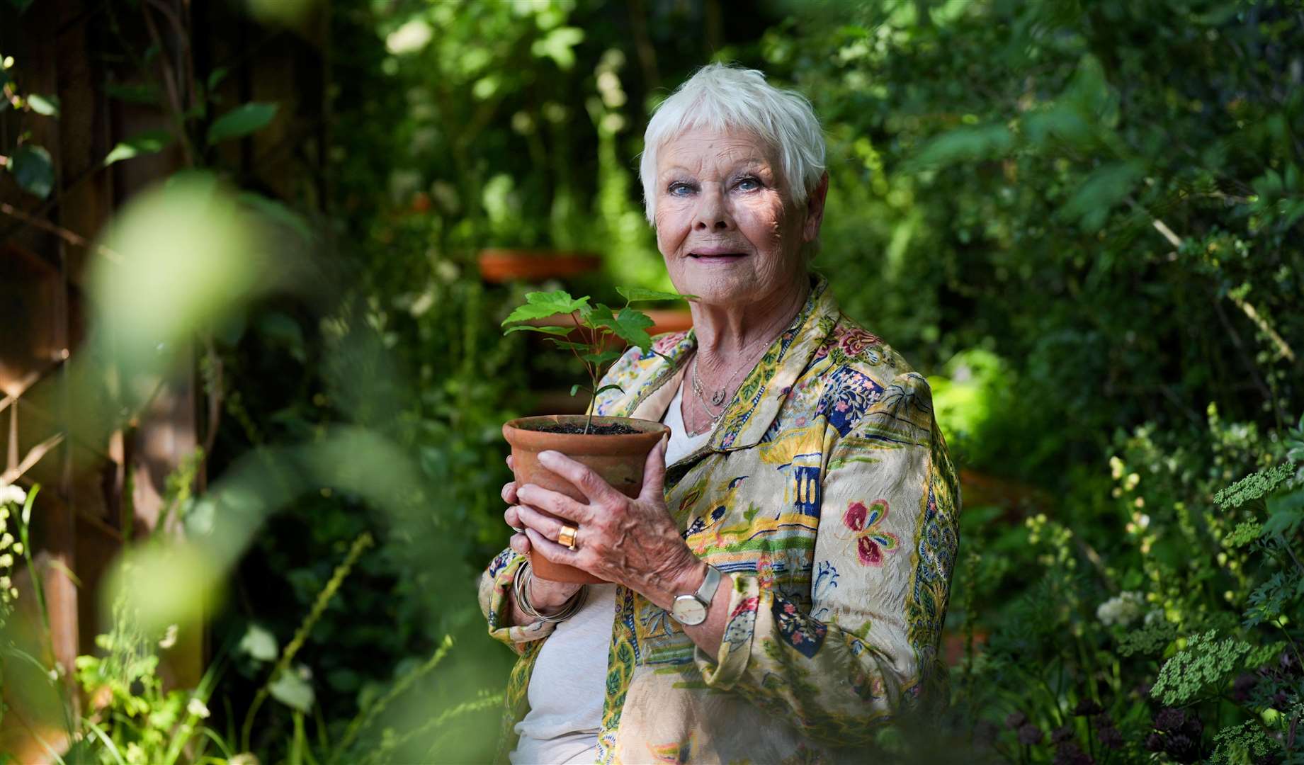 Stars such as Dame Judi Dench were out in force at the 2024 RHS Chelsea Flower Show