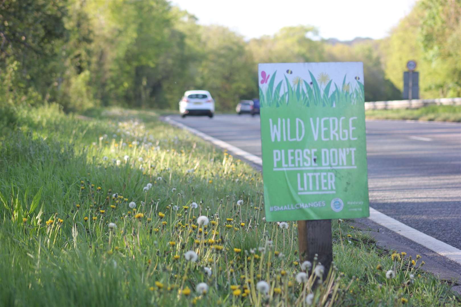 Medway Council supported No Mow May