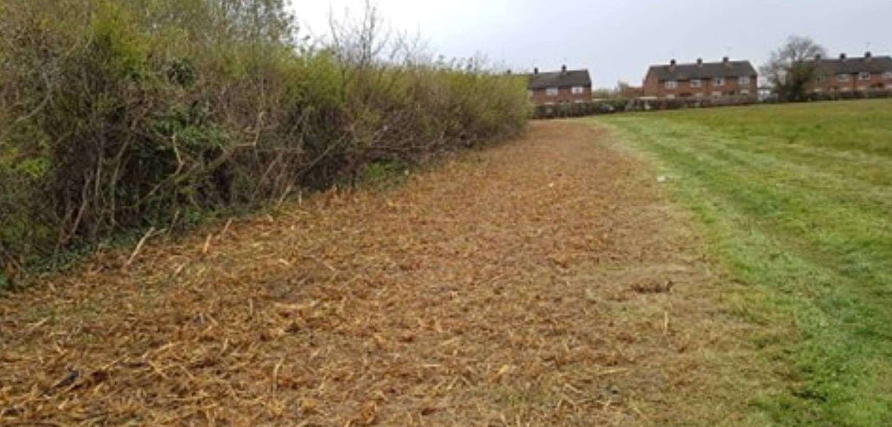 Residents say the hedges have been 'desecrated'. Picture: Kevin Kerrigan