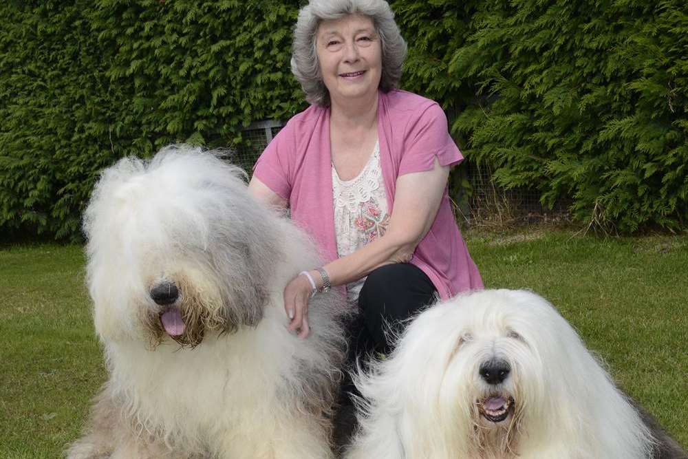 Owner Gina Willis with Herbert and Spud