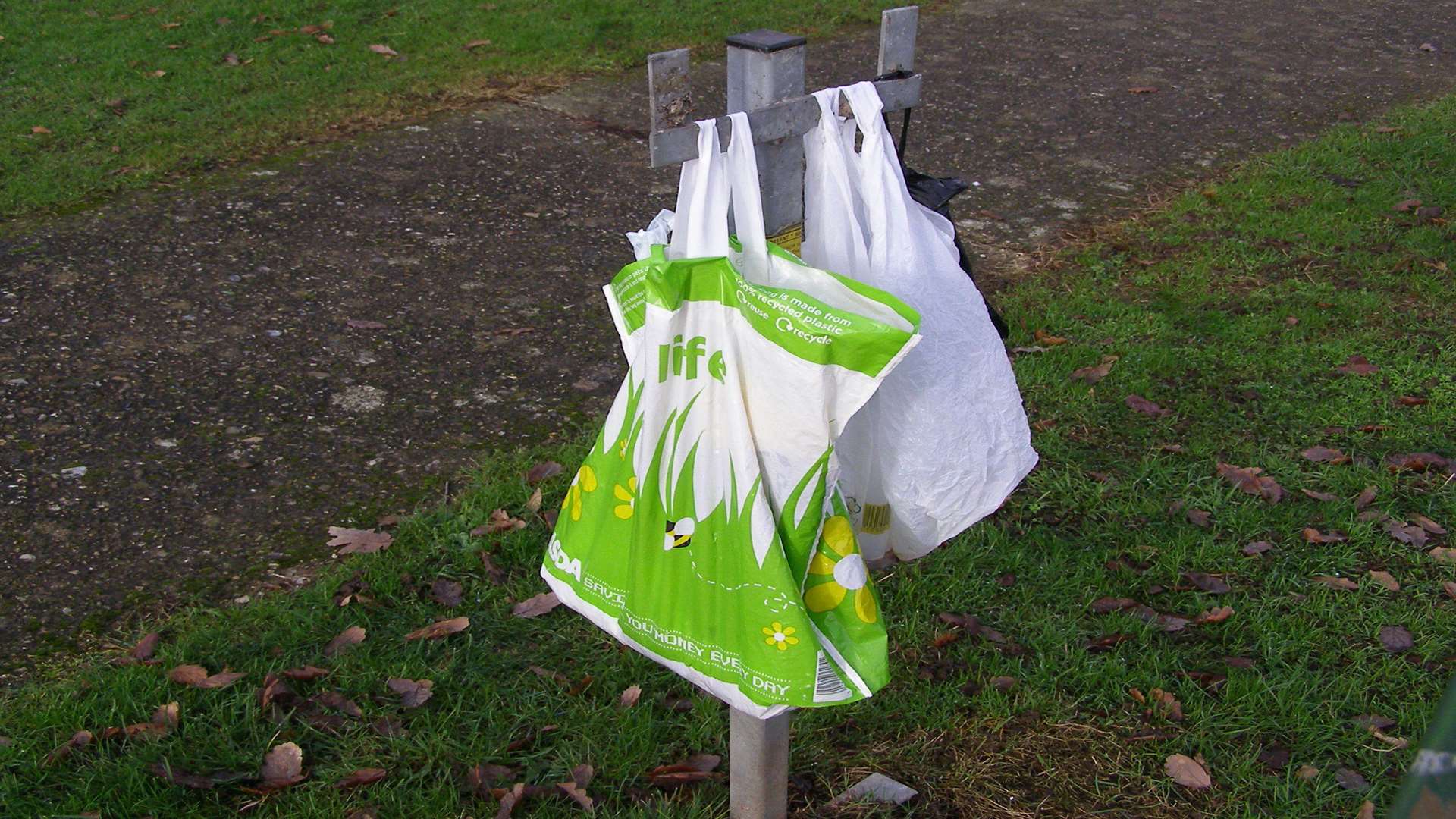 The overflowing dog bin in Wrangleden Road