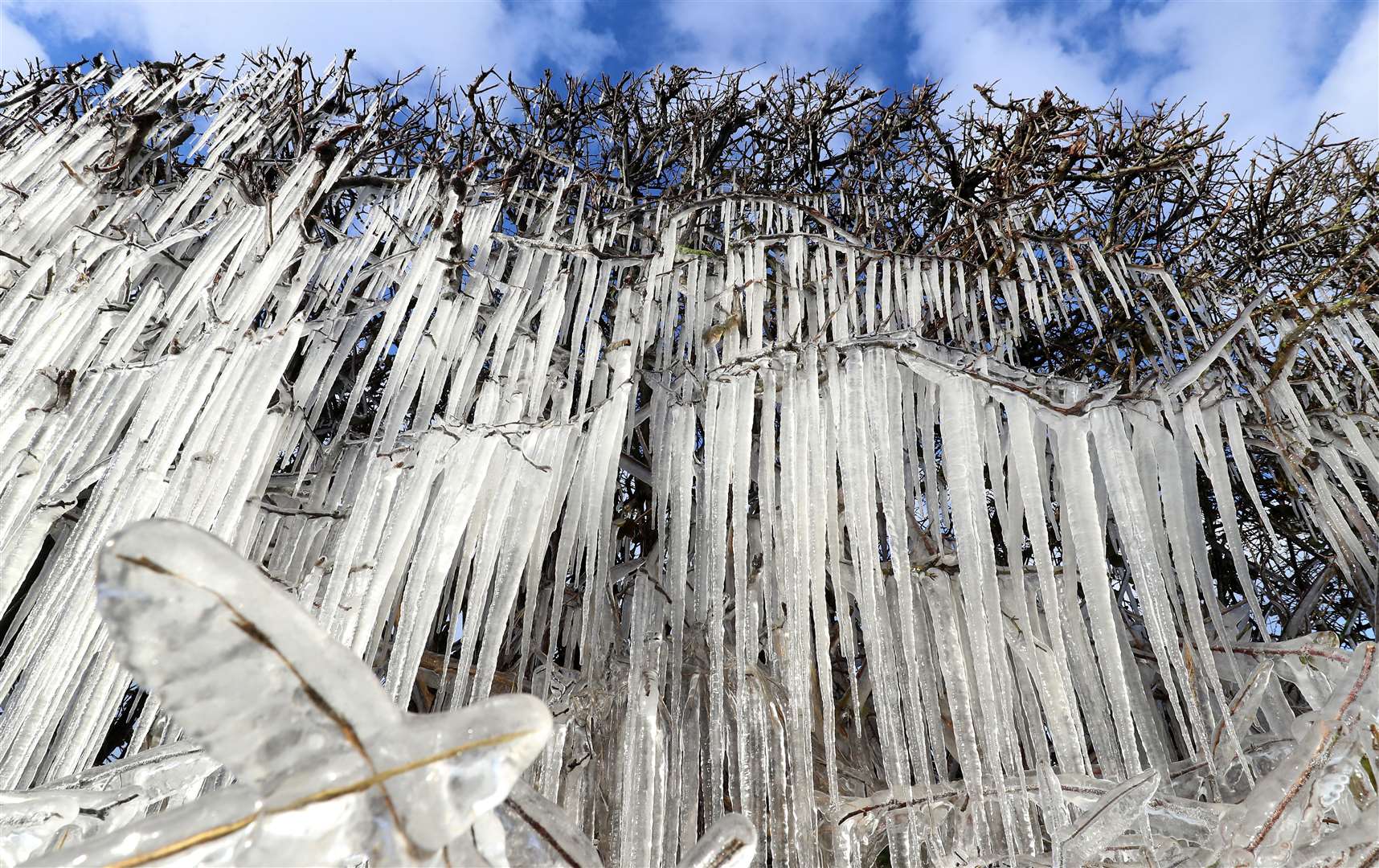 Icicles form on a hedgerow near Ashford in Kent (Gareth Fuller/PA)