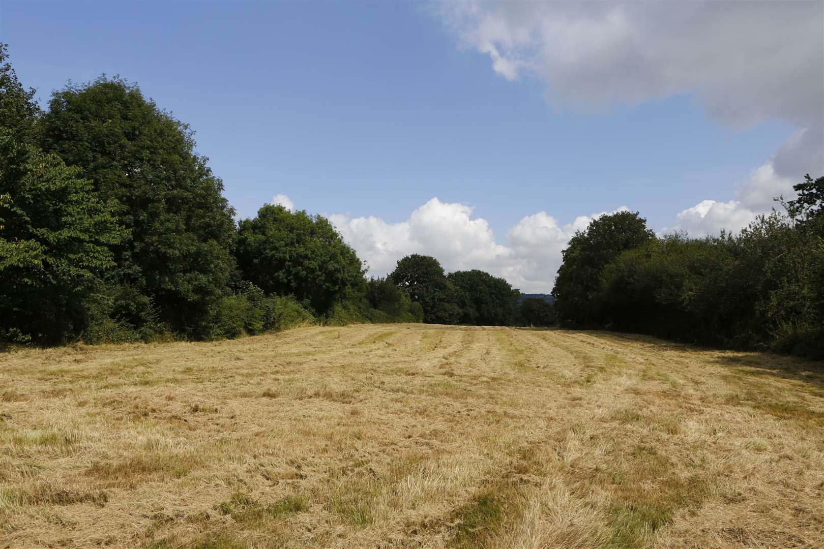 Two pitches are set to be created on this field as part of the permission