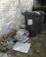 Overflowing wheelie bins like these could be t hing of the past if a new company is successful