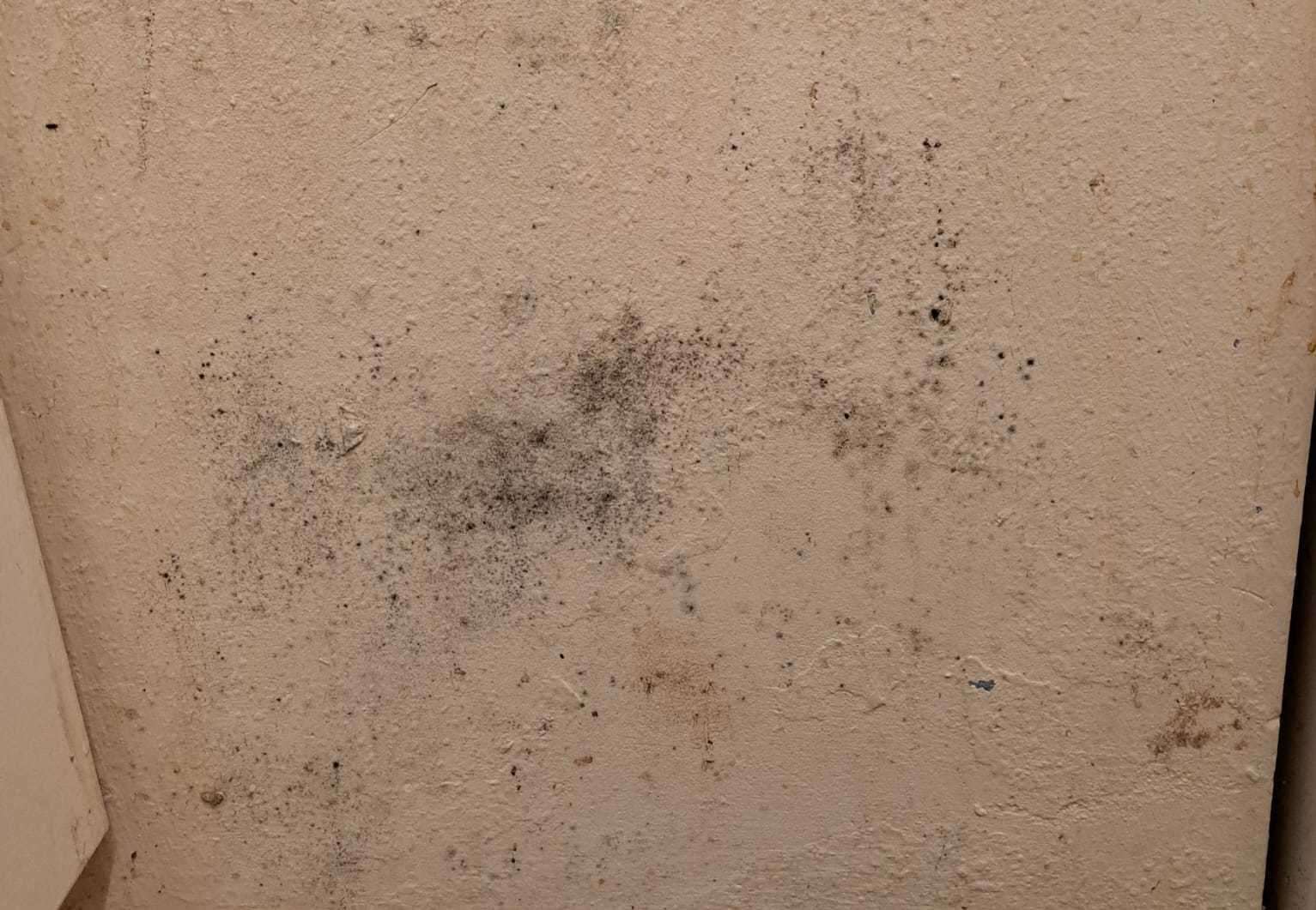 Mould in Vicky's kitchen