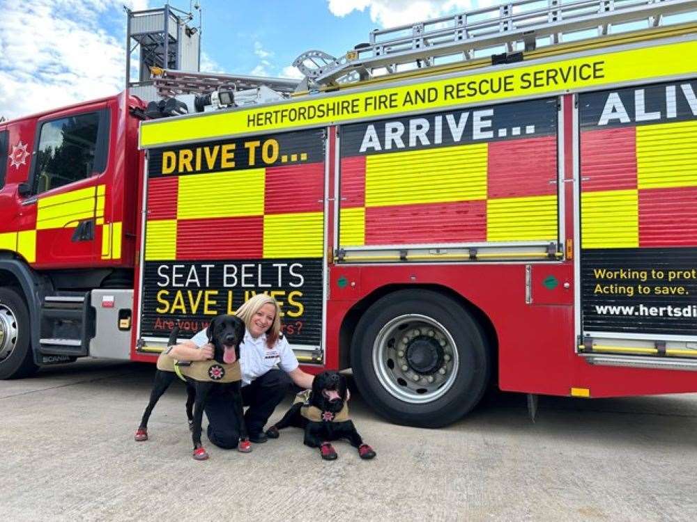 Investigation dogs Loki (l) and Reqs (r) with handler Nikki Harvey (Hertfordshire County Council/PA)