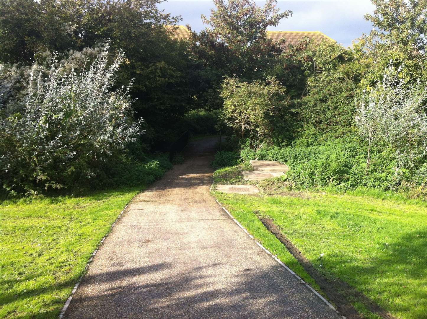 Bishopstone Glen. Picture: Aidan Barlow