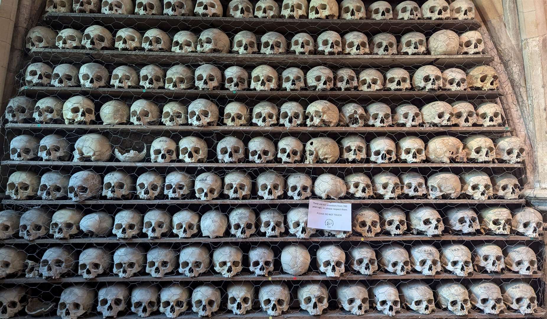 The Crypt at St Leonard's Church in Hythe is home to a collection of skulls and bones