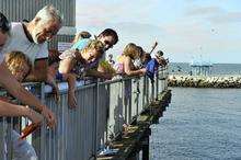 Herne Bay Crab Catching competition 2009