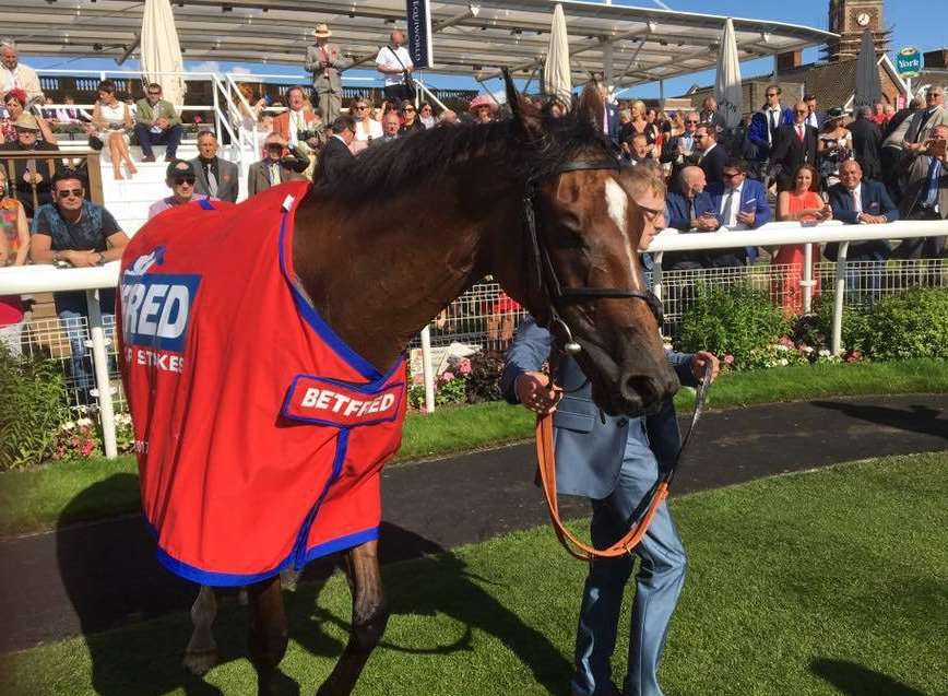 Nakeeta in the winner’s enclosure after his victory