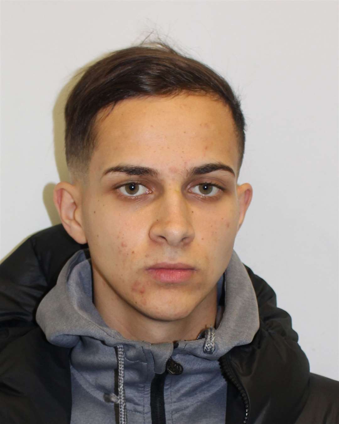 Marian Vasilica Dragoi pleaded guilty to dangerous driving (Metropolitan Police/PA)