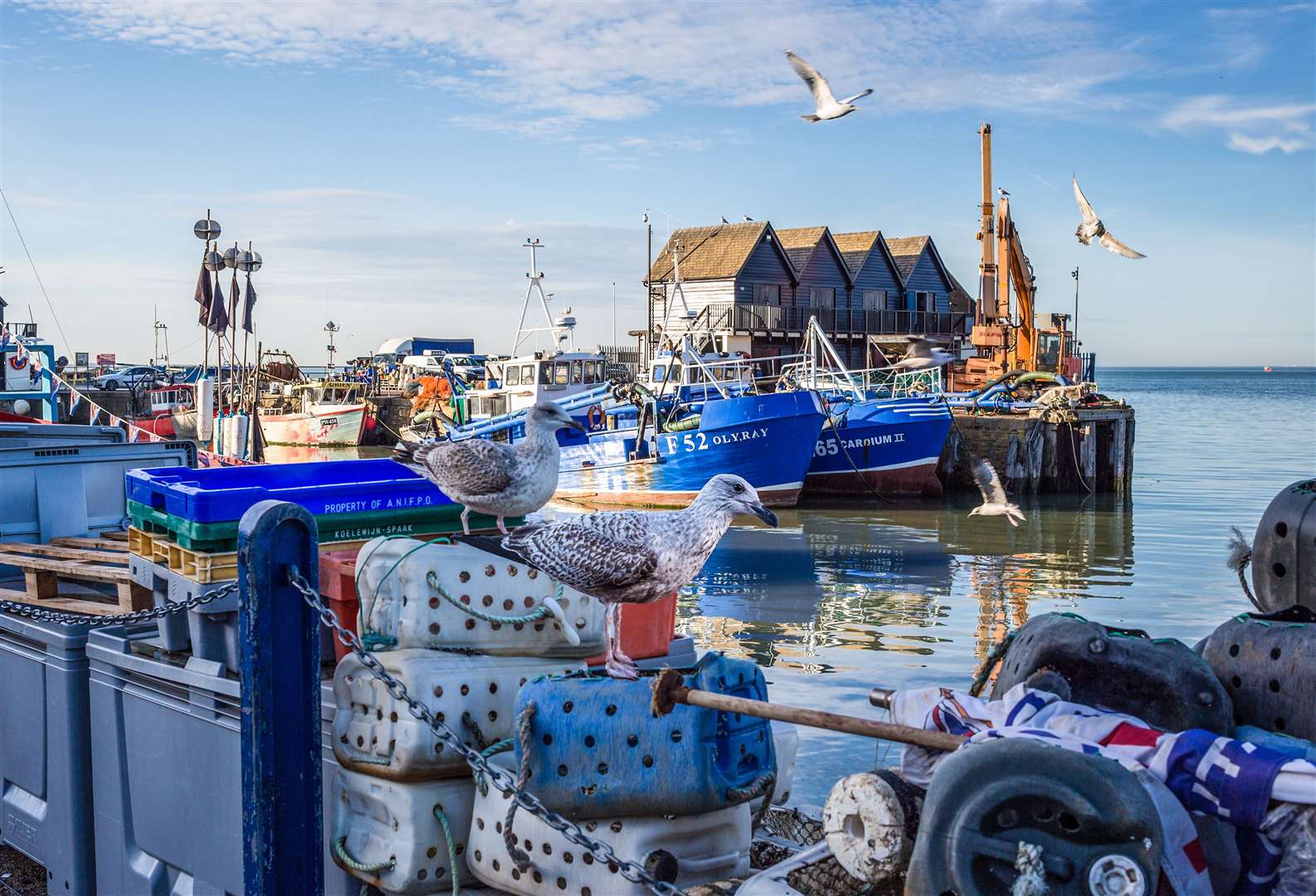 Mr Nichols speaks for fishermen operating out of Whitstable harbour, as well as Ramsgate and Queenborough