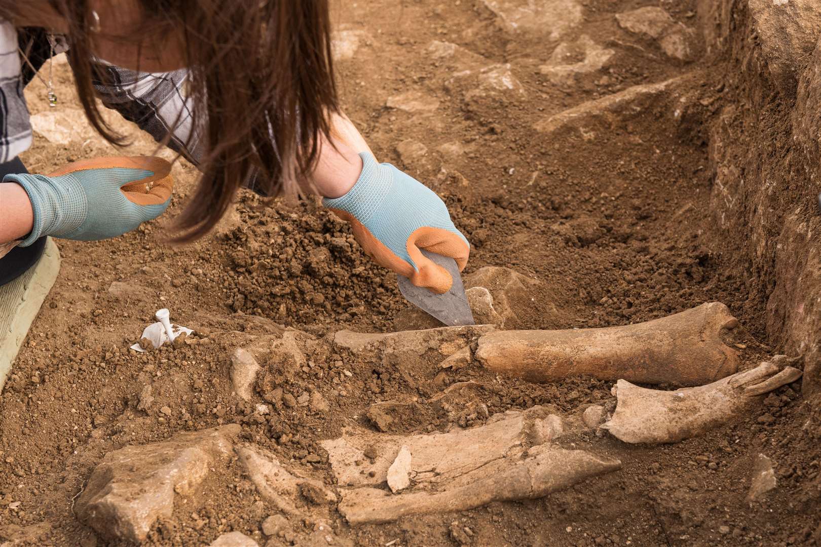 Bone fragments were also uncovered at the archaeological site (University of Leicester Archaeological Services/PA)