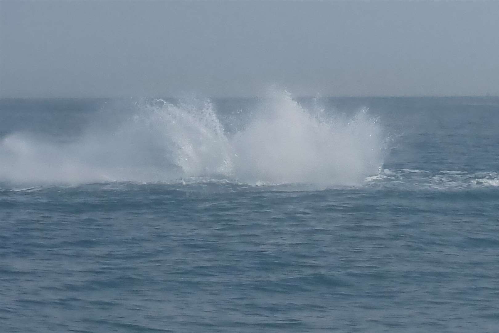 The whale was seen splashing its tail on the water. Picture: Thomas Packman