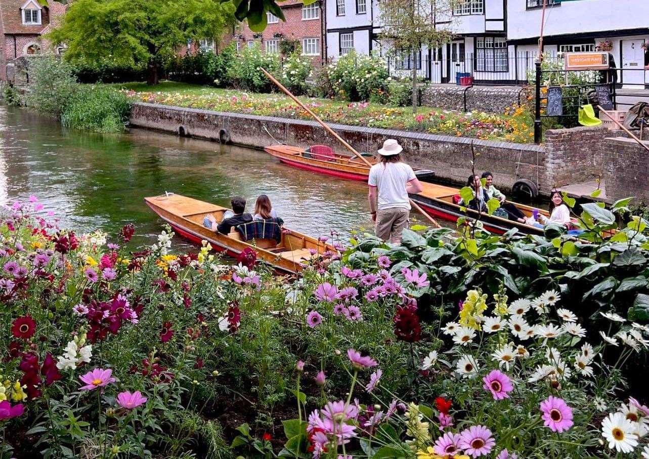 The Stour is one of Kent’s most picturesque rivers. Picture: Ralph Lombart