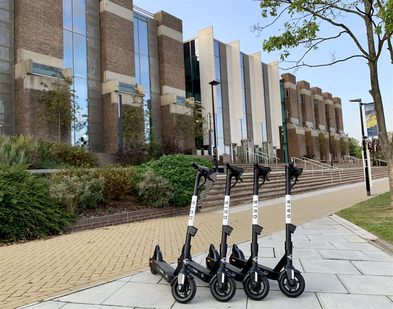 The Bird electric scooters at the University of Kent. Picture: Bird