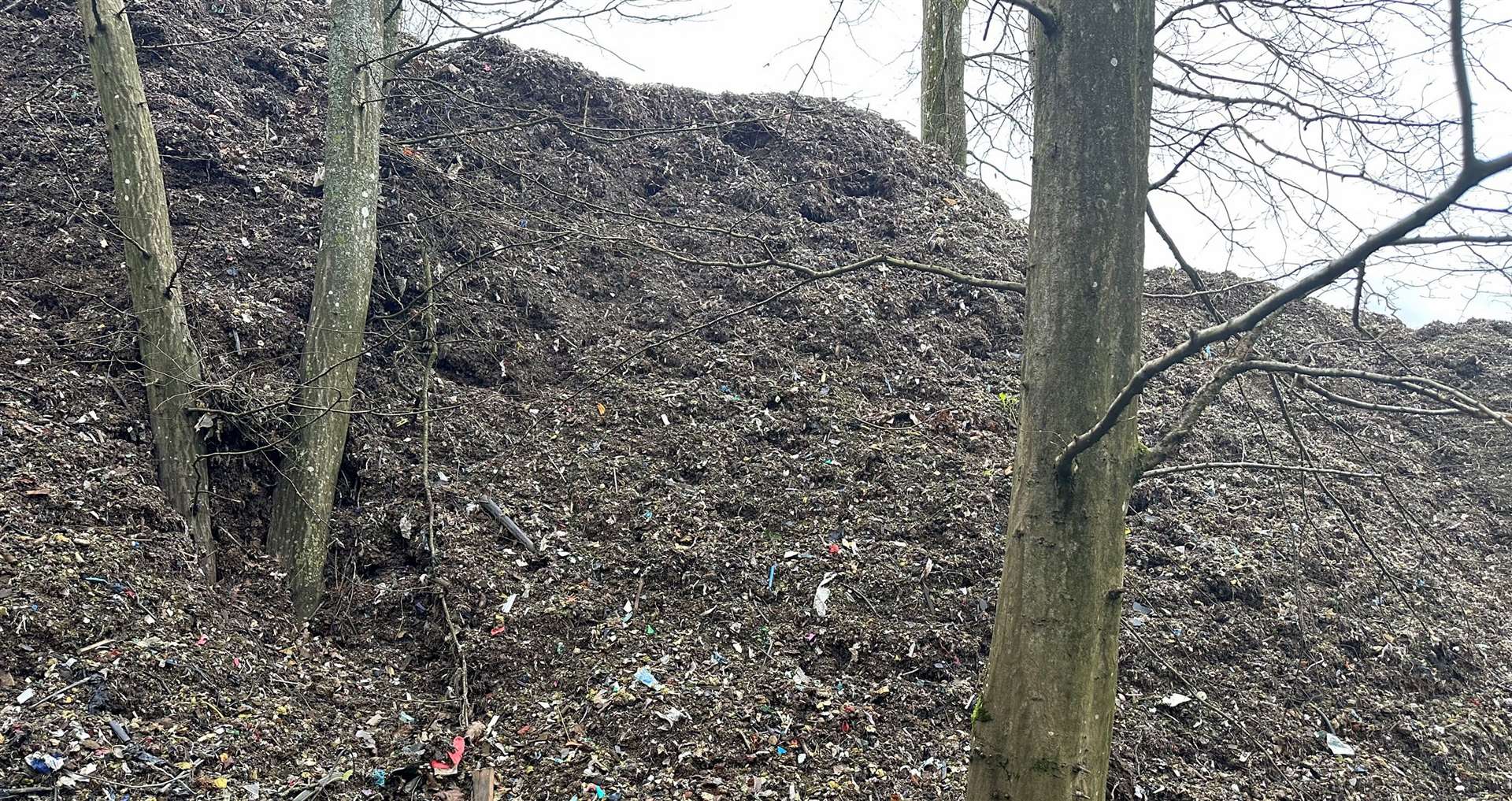 It could cost between £10 to £15 million to clean up. Picture: Kent Wildlife Trust