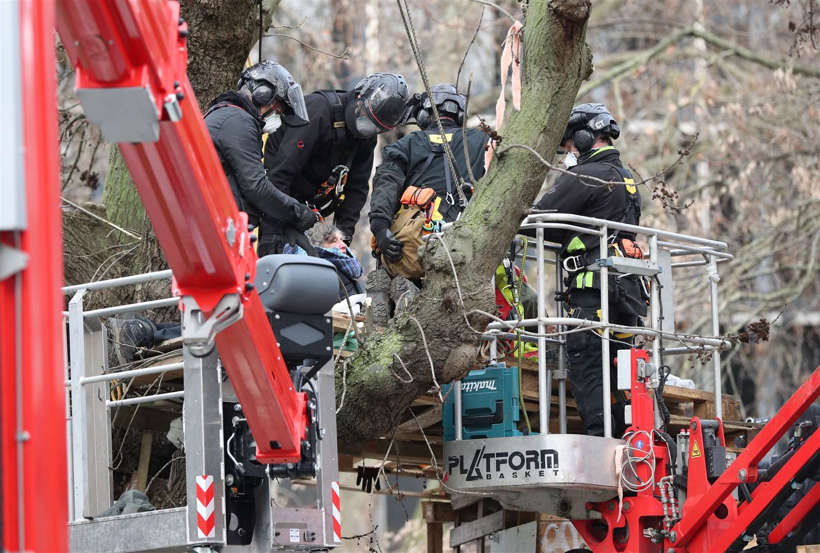 A protester is removed from a tree (Jonathan Brady/PA)