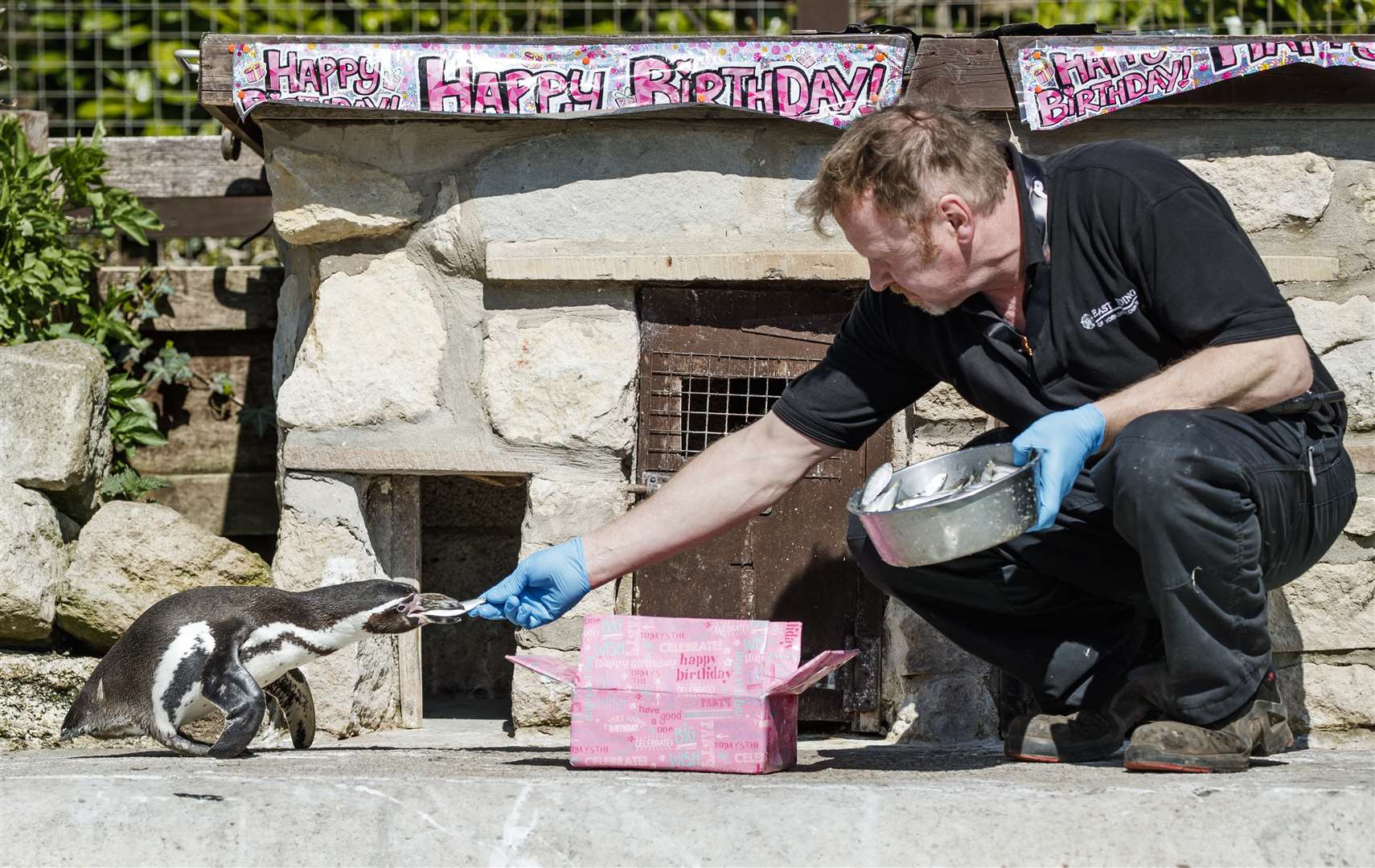 Head zookeeper John Pickering feeds a fish to Rosie (Danny Lawson/PA)