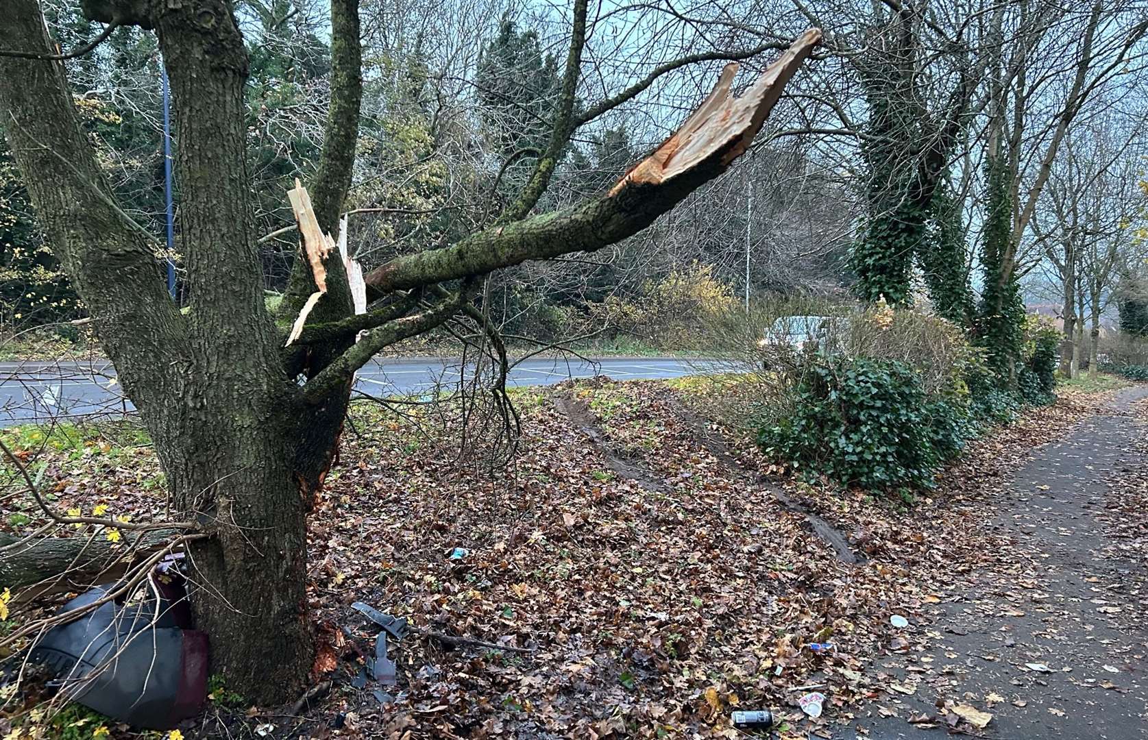 The damaged tree off the A249 Sittingbourne Road after it was crashed into by a car