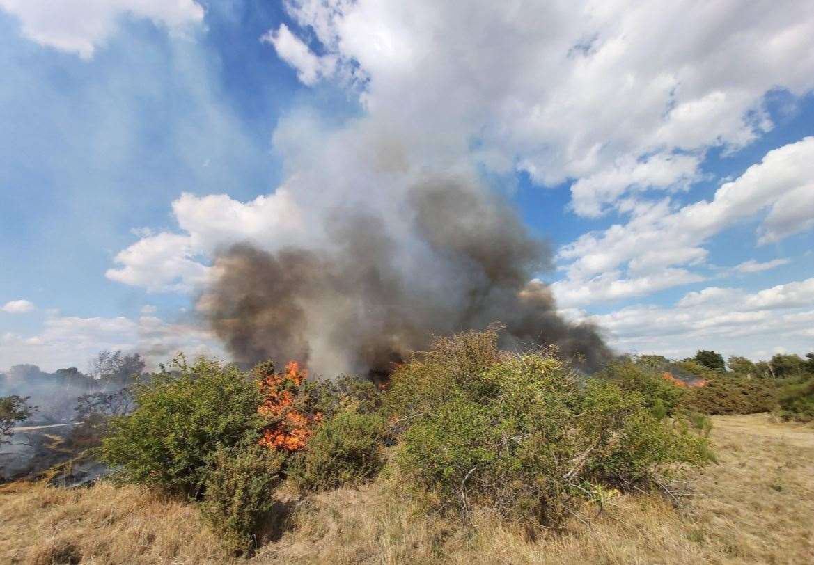 Firefighters tackled a huge blaze on Dartford Heath. Picture: Kent Police Dartford