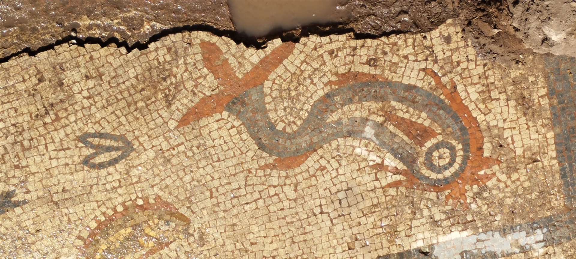 The mosaic depicts dolphins and fish in bright colours still visible today (English Heritage/PA)