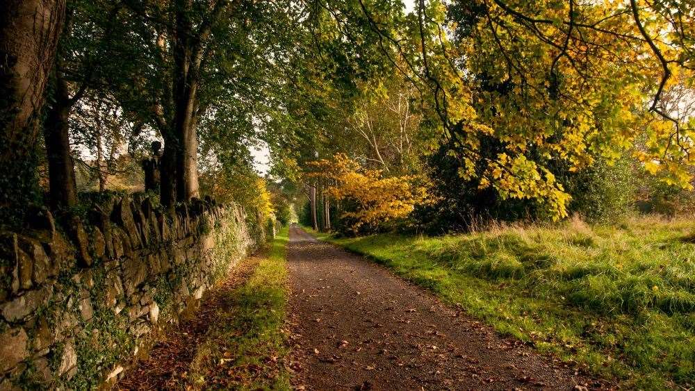 Rowallane Garden in County Down, Northern Ireland (National Trust/PA)