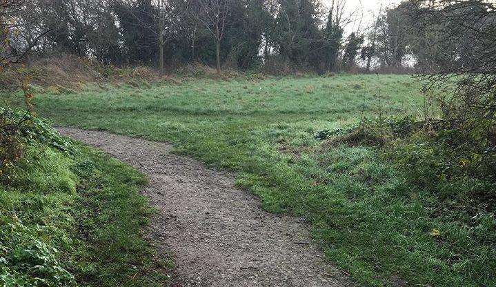 The site where a dog was fatally attacked by another dog in Rede Common in Strood. Picture supplied by Emma Stephens (6211741)