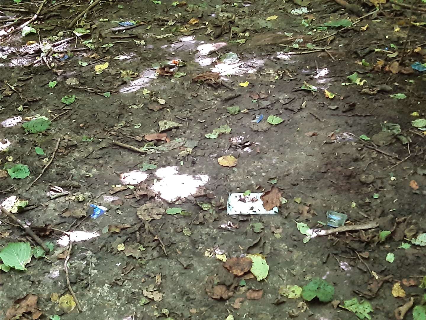 Used condom wrappers left strewn across the meadow