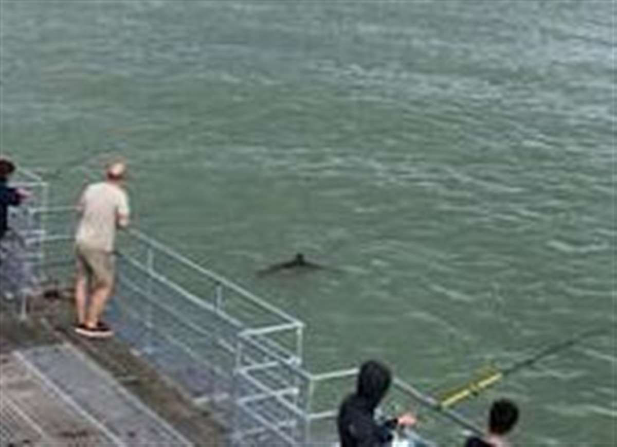 Fishing On Deal Pier