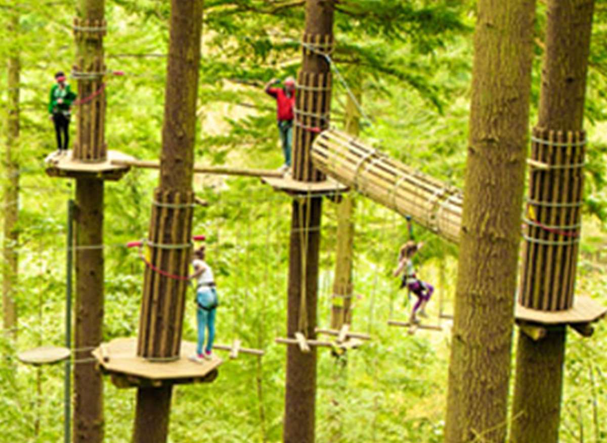 Go Ape At Bedgebury Forest And Leeds Castle Is A Brilliant Get Away From The Political Madness