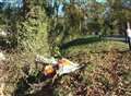 Boy of 17 dies as car overturns