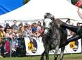 100,000 enjoy county show spectacular