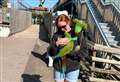 Missing parrot returns after escaping from zoo