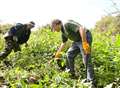 Volunteers create wildlife habitat