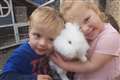 Van driver admits killing young siblings in M4 crash