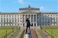 DUP calls for equality probe after Stormont bid for Queen jubilee tree rejected