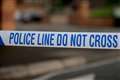 10-year-old boy killed by dog in South Wales